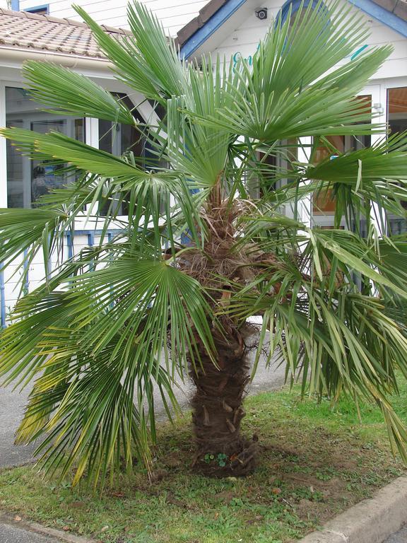 Budget Hotel Melun Sud - Dammarie Les Lys Kültér fotó